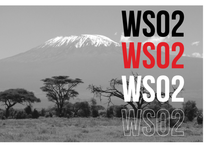 WSO2 Partner in Tanzania